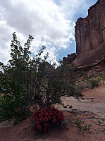 Arches NP Park Avenue (10).JPG
